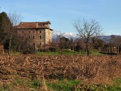 alnicco, Immagini di Alnicco