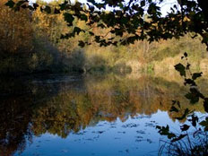 torbiera, Natura e colline di Moruzzo