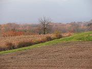 campagna modotto, Natura e Panorami