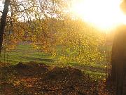 controluce modotto, Natura