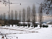 pioppi neve, Natura e colline di Moruzzo