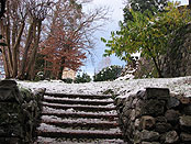scalini neve, Natura